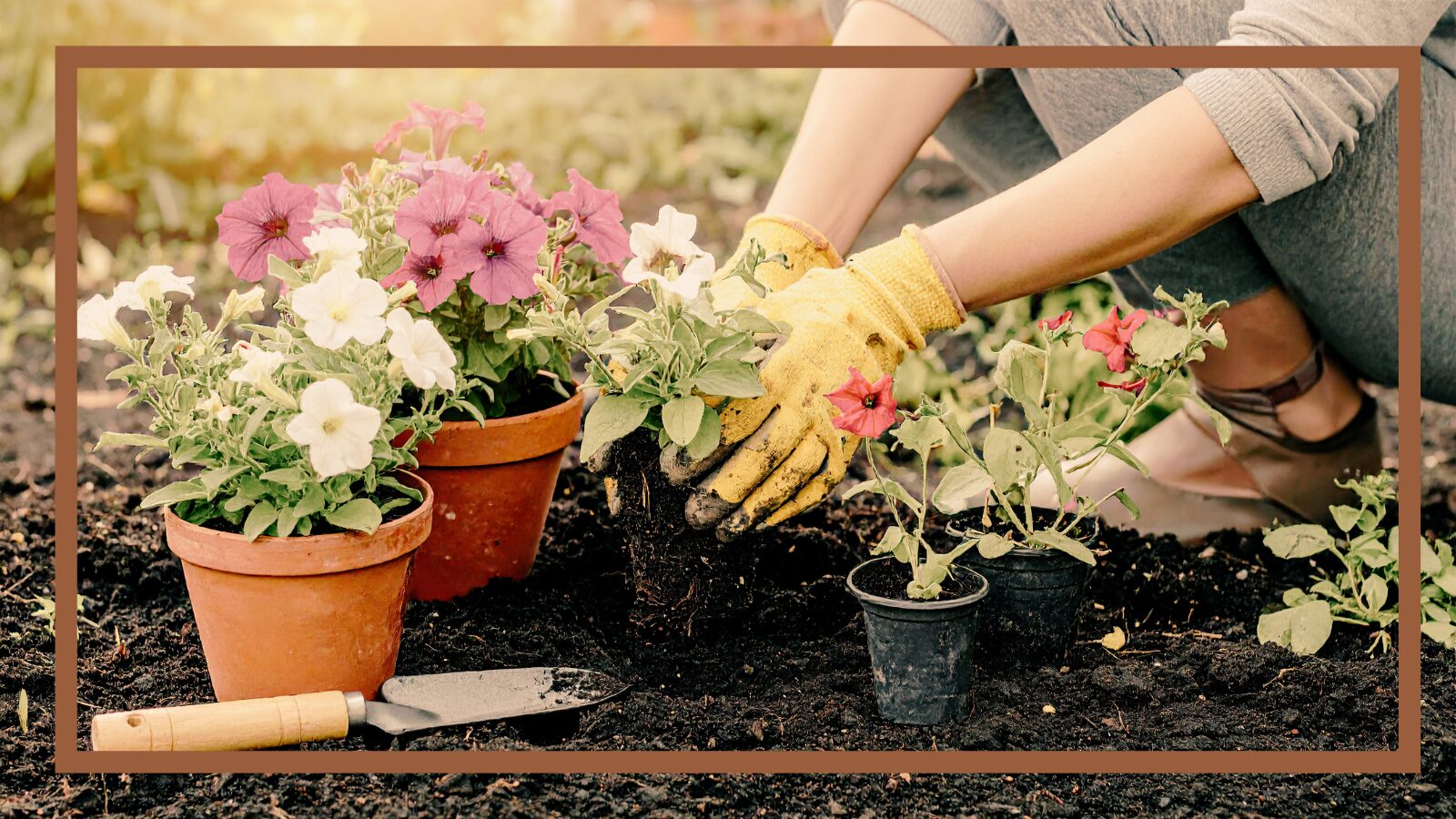 The Perils of Outsourcing