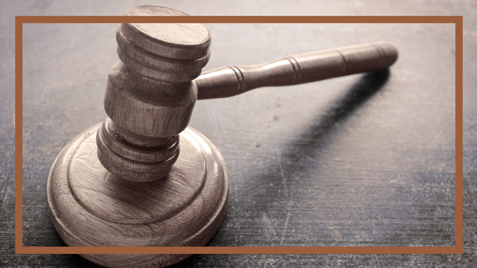 The (Attempted) Re-Education of Dr. Jordan B. Peterson